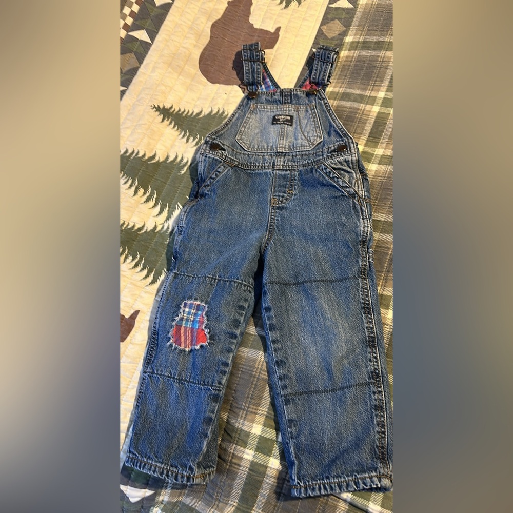 2t lined overalls